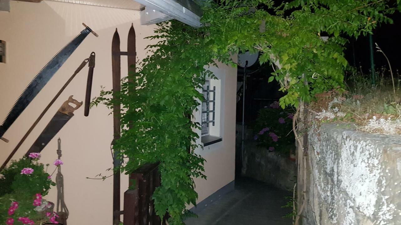 Ferienwohnungen "Gruendelrast" Prossen Exterior photo